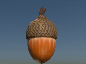 Acorn low poly 3D Model