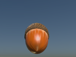 Acorn low poly 3D Model