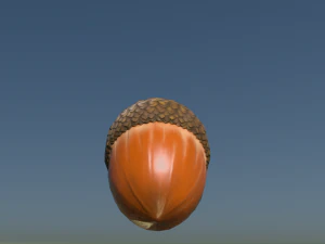 Acorn low poly 3D Model