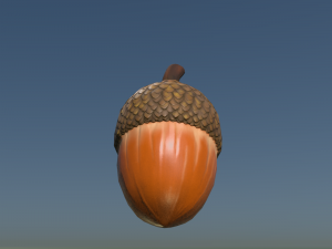 Acorn low poly 3D Model