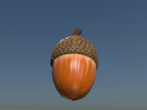 Acorn low poly 3D Model