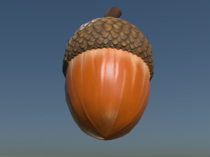 Acorn low poly 3D Model