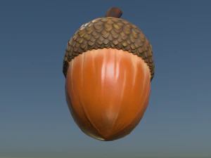 Acorn low poly 3D Model