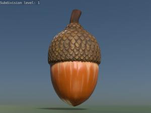 Acorn low poly 3D Model