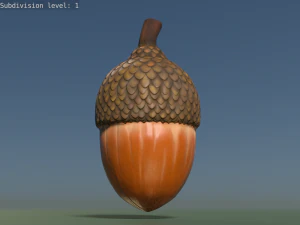 Acorn low poly 3D Model