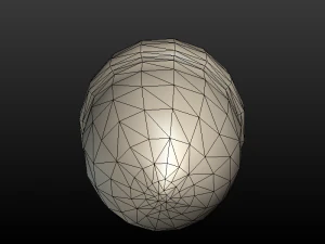 Acorn low poly 3D Model