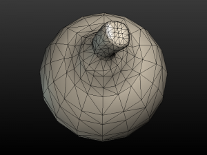 Acorn low poly 3D Model