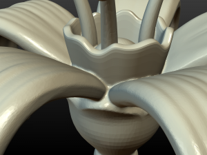 flower print ready 3D Baskı Modeli