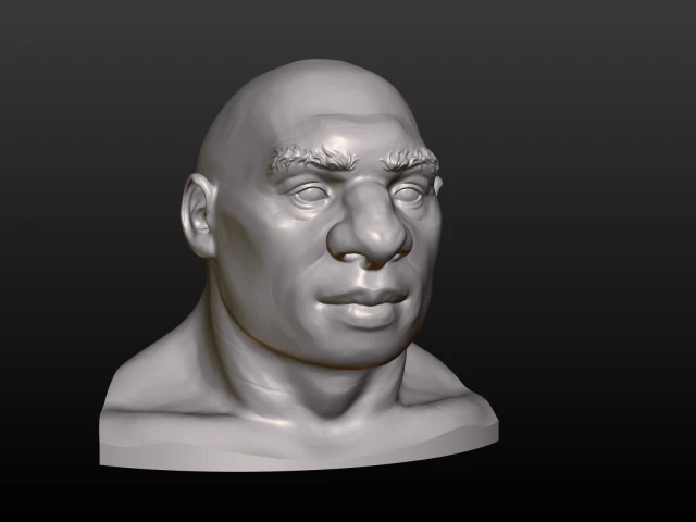 남자 머리 3D 프린트 모델 .c4d .max .obj .3ds .fbx .stl .blend 