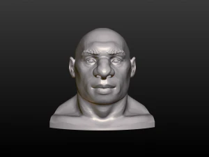 남자 머리 3D 프린트 모델