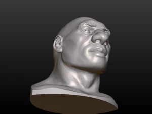 남자 머리 3D 프린트 모델