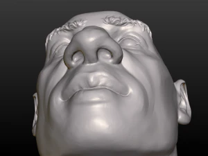 남자 머리 3D 프린트 모델