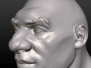 남자 머리 3D 프린트 모델