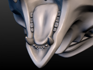 bear head Model do druku 3D