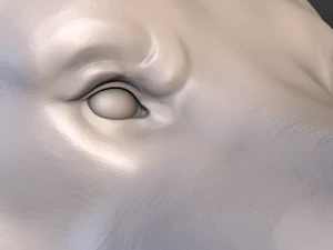 cabe&ccedil;a de urso Modelo de Impressão 3D