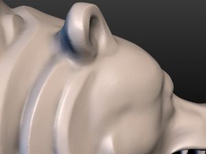 bear head Model do druku 3D