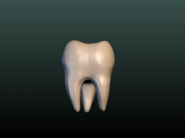 tooth 3D Print Model .c4d .max .obj .3ds .fbx .stl .blend 