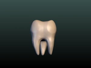 tooth 3Dプリントモデル