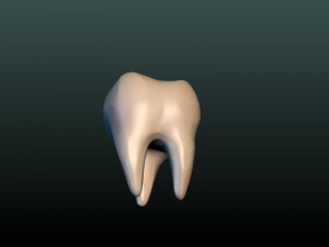 tooth 3D Принт Модель