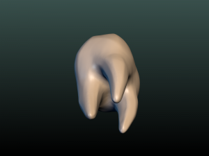 tooth 3D Принт Модель