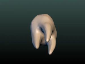 tooth 3D Print Model