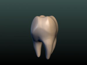 tooth 3D Принт Модель
