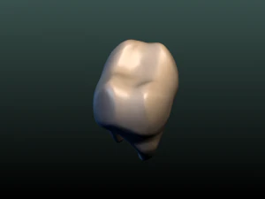 tooth 3D Print Model
