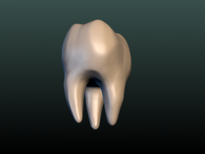 tooth 3D Принт Модель