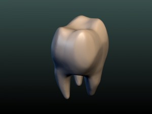 tooth 3D Принт Модель