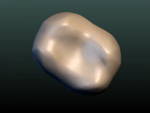 tooth 3D Print Model
