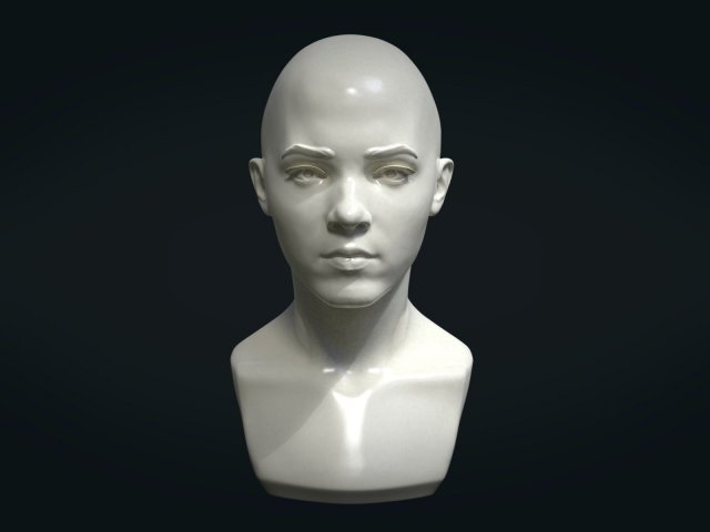 young woman head 3D Print Model .c4d .max .obj .3ds .fbx .stl .blend