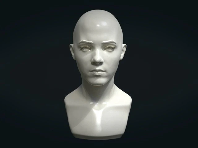 young woman head 3D Print Model .c4d .max .obj .3ds .fbx .stl .blend 