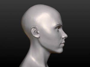 young woman head 3D Print Model