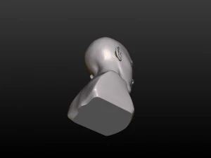 young woman head 3D Print Model