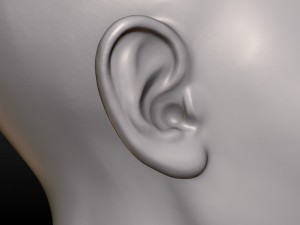 young woman head 3D Print Model