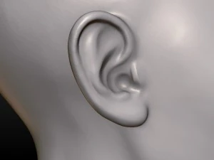 young woman head 3D Print Model