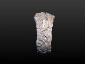 golden ring 3D Print Model