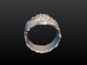 golden ring 3D Print Model