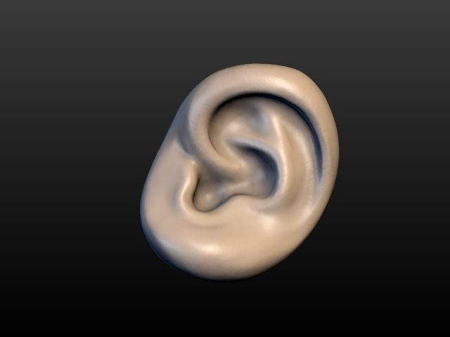 round ear 3D 프린트 모델 .c4d .max .obj .3ds .fbx .stl .blend 