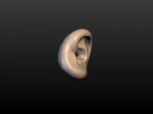 round ear 3D 프린트 모델