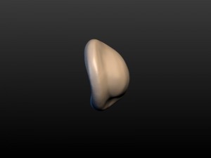 round ear 3D 프린트 모델