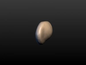 round ear 3D 프린트 모델