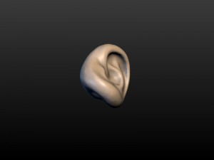 round ear 3D 프린트 모델