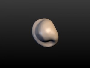 round ear 3D 프린트 모델