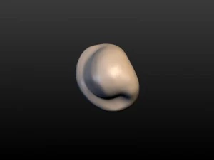 round ear 3D Print Model
