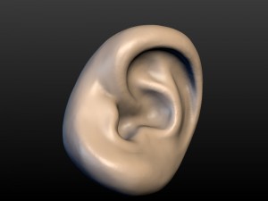 round ear 3D 프린트 모델