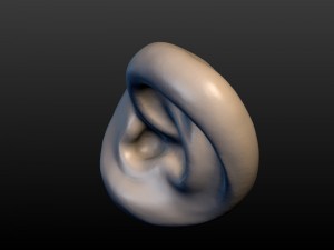 round ear 3D 프린트 모델