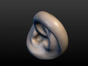 round ear 3D Print Model