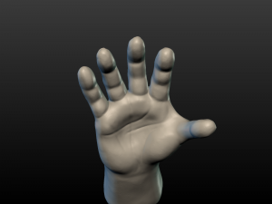 hand Model do druku 3D