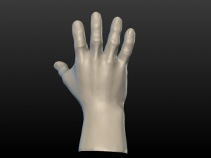 hand Model do druku 3D